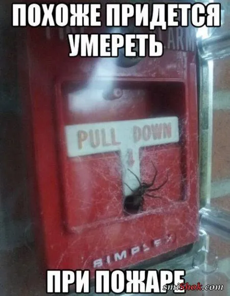 Приколы - они и весной приколы Приколы - они и весной приколы