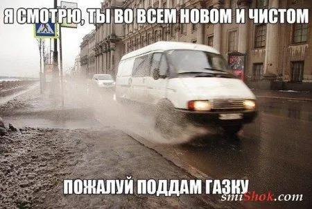 Приколы - они и весной приколы Приколы - они и весной приколы