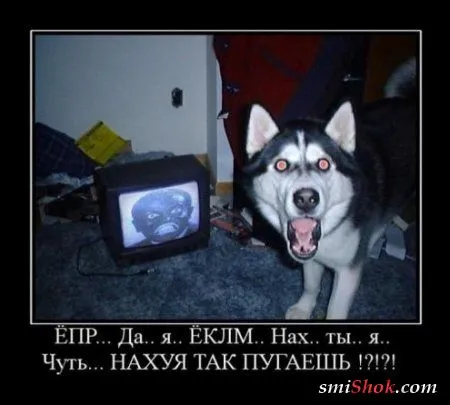 Прикольные демотиваторы для всех