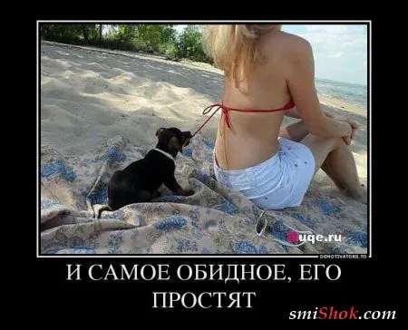 Прикольные демотиваторы для всех