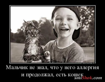 Грустные, прикольные, весенние.... ДЕМОТИВАТОРЫ Грустные, прикольные, весенние.... ДЕМОТИВАТОРЫ