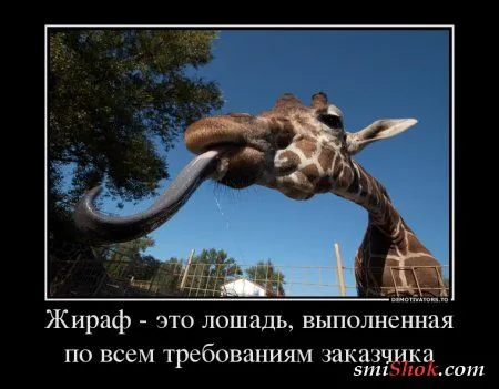 Грустные, прикольные, весенние.... ДЕМОТИВАТОРЫ Грустные, прикольные, весенние.... ДЕМОТИВАТОРЫ