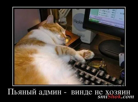 Грустные, прикольные, весенние.... ДЕМОТИВАТОРЫ Грустные, прикольные, весенние.... ДЕМОТИВАТОРЫ