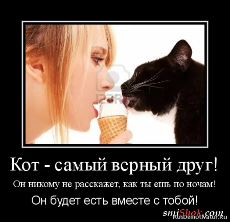 Демотиваторы на тему женскую... О диете! Демотиваторы на тему женскую... О диете!