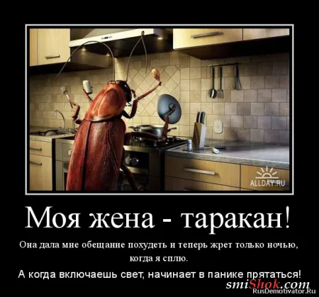 Демотиваторы на тему женскую... О диете! Демотиваторы на тему женскую... О диете!