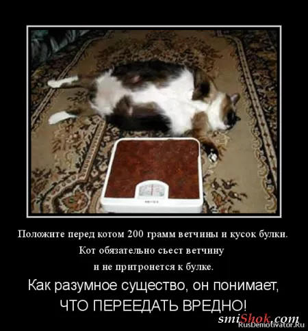 Демотиваторы на тему женскую... О диете! Демотиваторы на тему женскую... О диете!