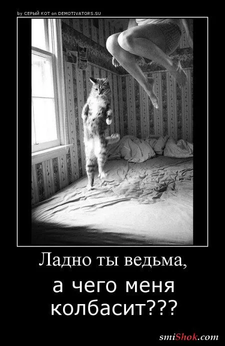 Демотиваторы и опять прикольные Демотиваторы и опять прикольные