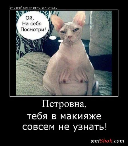 Демотиваторы и опять прикольные Демотиваторы и опять прикольные