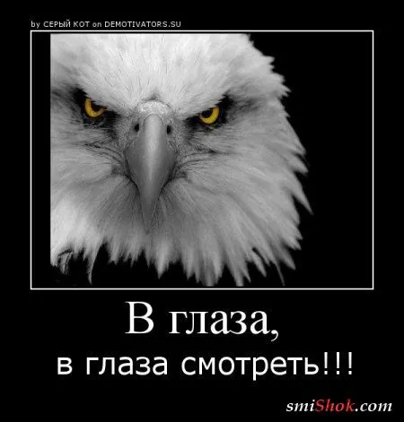 Демотиваторы и опять прикольные Демотиваторы и опять прикольные