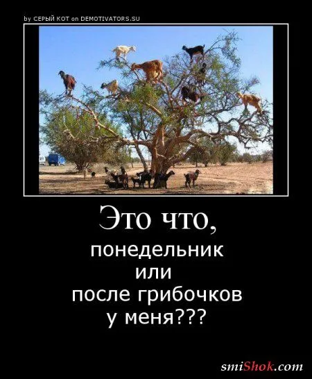 Демотиваторы и опять прикольные Демотиваторы и опять прикольные