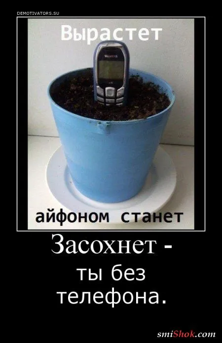 Демотиваторы на среду