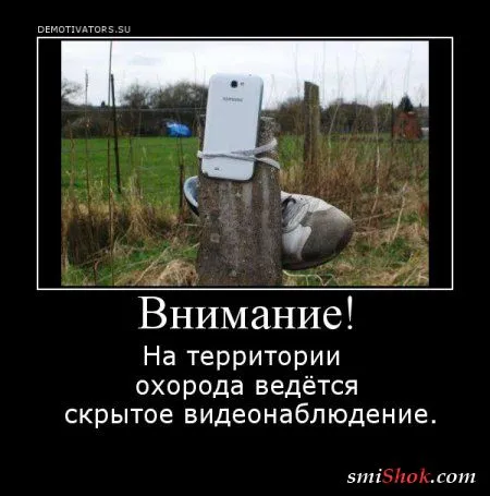 Демотиваторы на среду