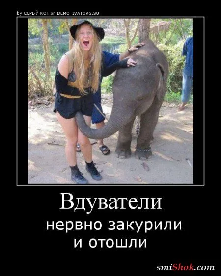 Демотиваторы на среду