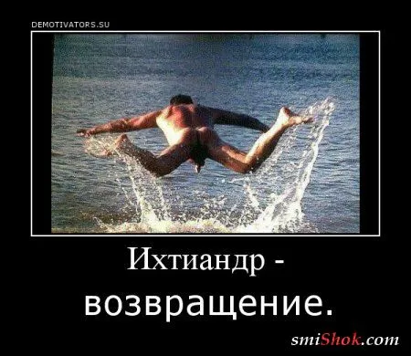 Демотиваторы на среду