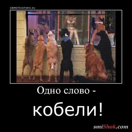 Демотиваторы на среду