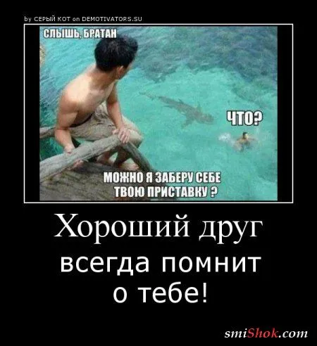 Демотиваторы на среду
