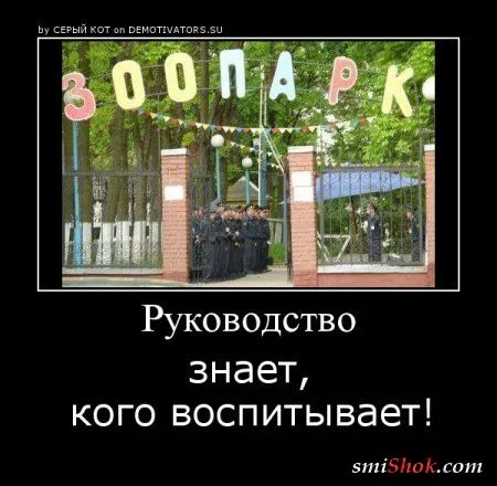 Демотиваторы на среду