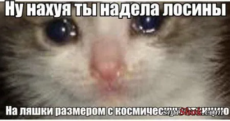 Как всегда веселая подборка фотоприколов Как всегда веселая подборка фотоприколов