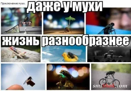 Как всегда веселая подборка фотоприколов Как всегда веселая подборка фотоприколов