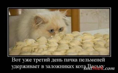 Демотиваторы на мой выбор