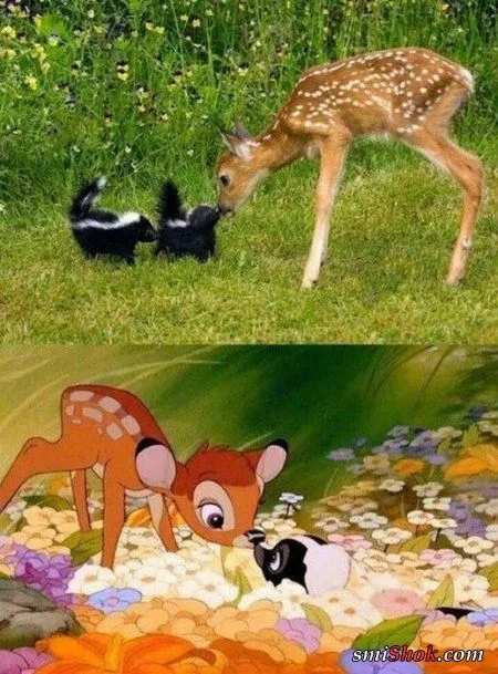 Ненасытные фотоприколы!