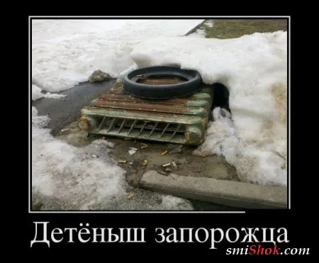 Демотиваторы, подборка для настроения, смотри после обеда