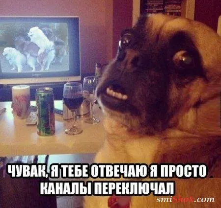 Смотрим смешные фото, отдыхаем позитивно