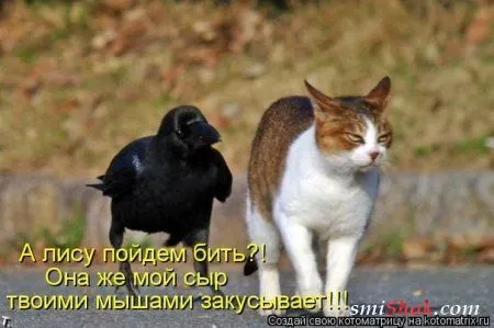 Праздничные котомашки