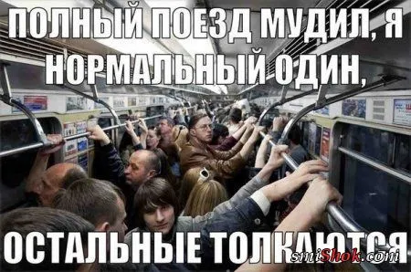 Веселые картинки с надписями