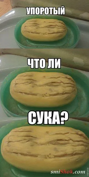 Веселые картинки с надписями