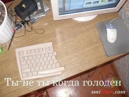 Веселые картинки с надписями