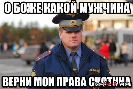 Приколюхи на ночь)