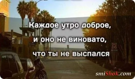 Приколюхи на ночь)