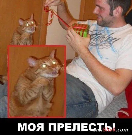 Приколюхи на ночь)