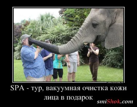 Подборка демотиваторов для вас