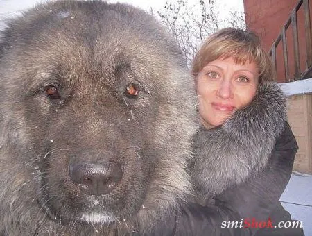 Фотоприколы для веселого тебя Фотоприколы для веселого тебя