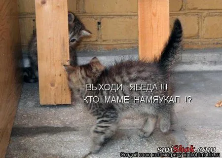 Котомашки "Мелоч, а приятно" Котомашки "Мелоч, а приятно"