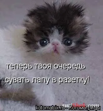 Котомашки "Мелоч, а приятно" Котомашки "Мелоч, а приятно"