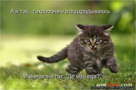 Котомашки "Мелоч, а приятно" Котомашки "Мелоч, а приятно"