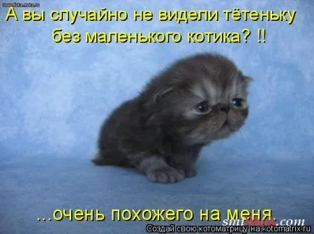 Котомашки "Мелоч, а приятно" Котомашки "Мелоч, а приятно"