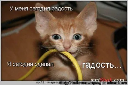 Котомашки "Мелоч, а приятно" Котомашки "Мелоч, а приятно"