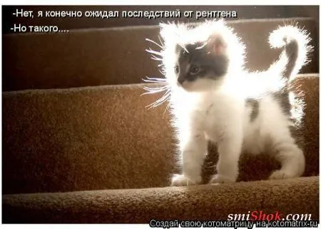 Котомашки "Мелоч, а приятно" Котомашки "Мелоч, а приятно"