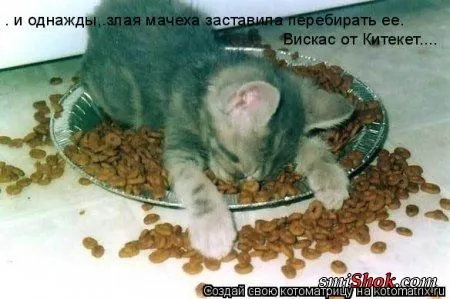 Котомашки "Мелоч, а приятно" Котомашки "Мелоч, а приятно"
