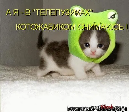 Котомашки "Мелоч, а приятно" Котомашки "Мелоч, а приятно"