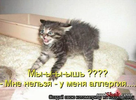 Котомашки "Мелоч, а приятно" Котомашки "Мелоч, а приятно"