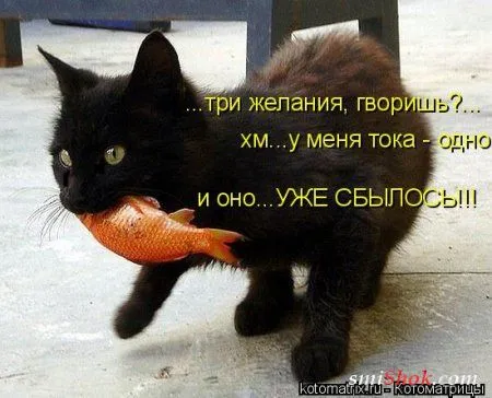 Котомашки "Мелоч, а приятно" Котомашки "Мелоч, а приятно"