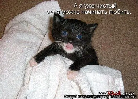 Котомашки "Мелоч, а приятно" Котомашки "Мелоч, а приятно"