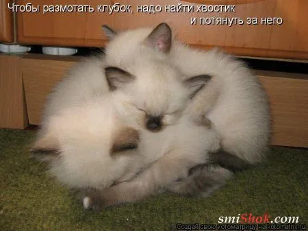 Котомашки "Мелоч, а приятно" Котомашки "Мелоч, а приятно"
