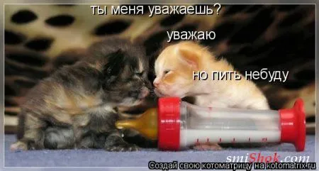 Котомашки "Мелоч, а приятно" Котомашки "Мелоч, а приятно"