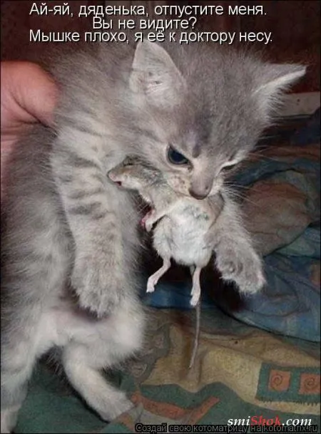 Котомашки "Мелоч, а приятно" Котомашки "Мелоч, а приятно"